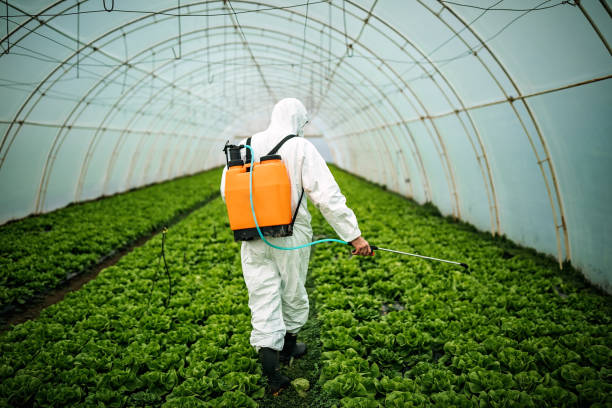 Best Pest Inspection Near Me  in Gberts, IL