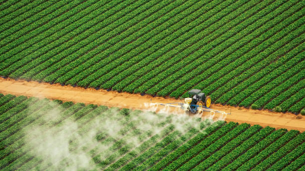 Best Pest Control Near Me  in Gberts, IL