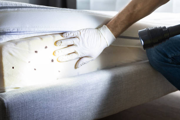 Best Residential Pest Control  in Gberts, IL