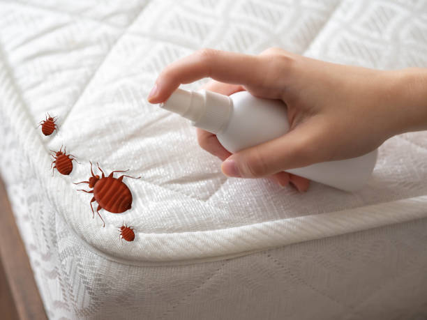 Best Pest Removal Services  in Gberts, IL