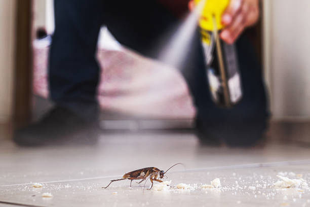 Best Pest Control Cost  in Gberts, IL