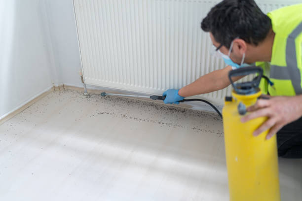 Best Local Pest Control Services  in Gberts, IL