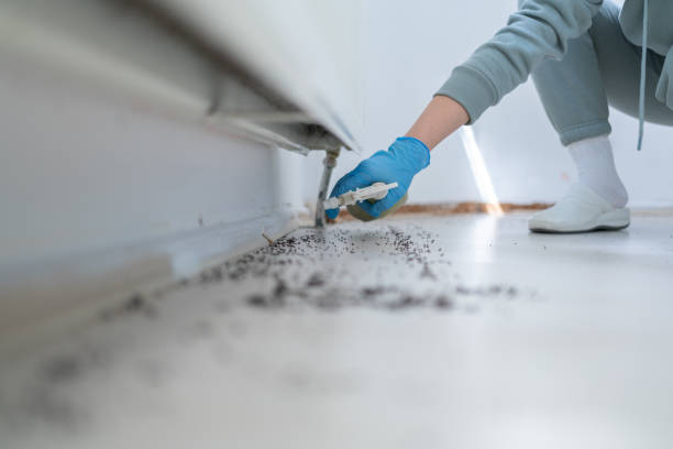 Best Wildlife Control Services  in Gberts, IL