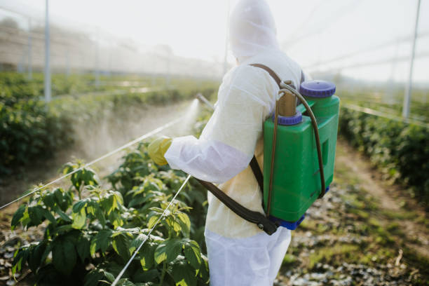 Pest Prevention Services in Gilberts, IL